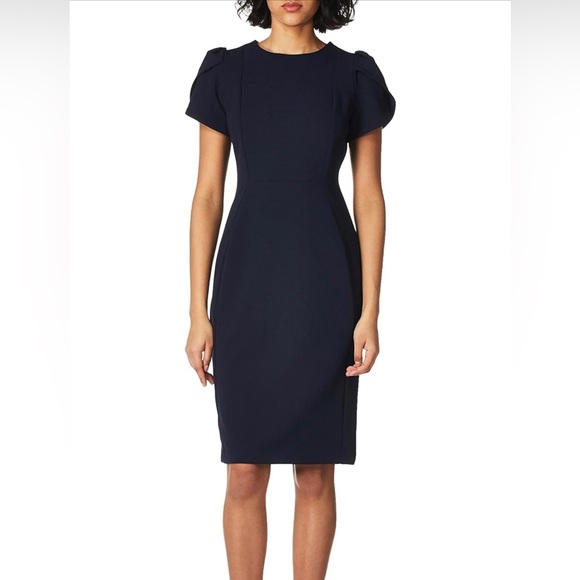 Calvin Klein Dresses & Skirts - NWT Calvin Klein Pleated-Sleeve Sheath Dress